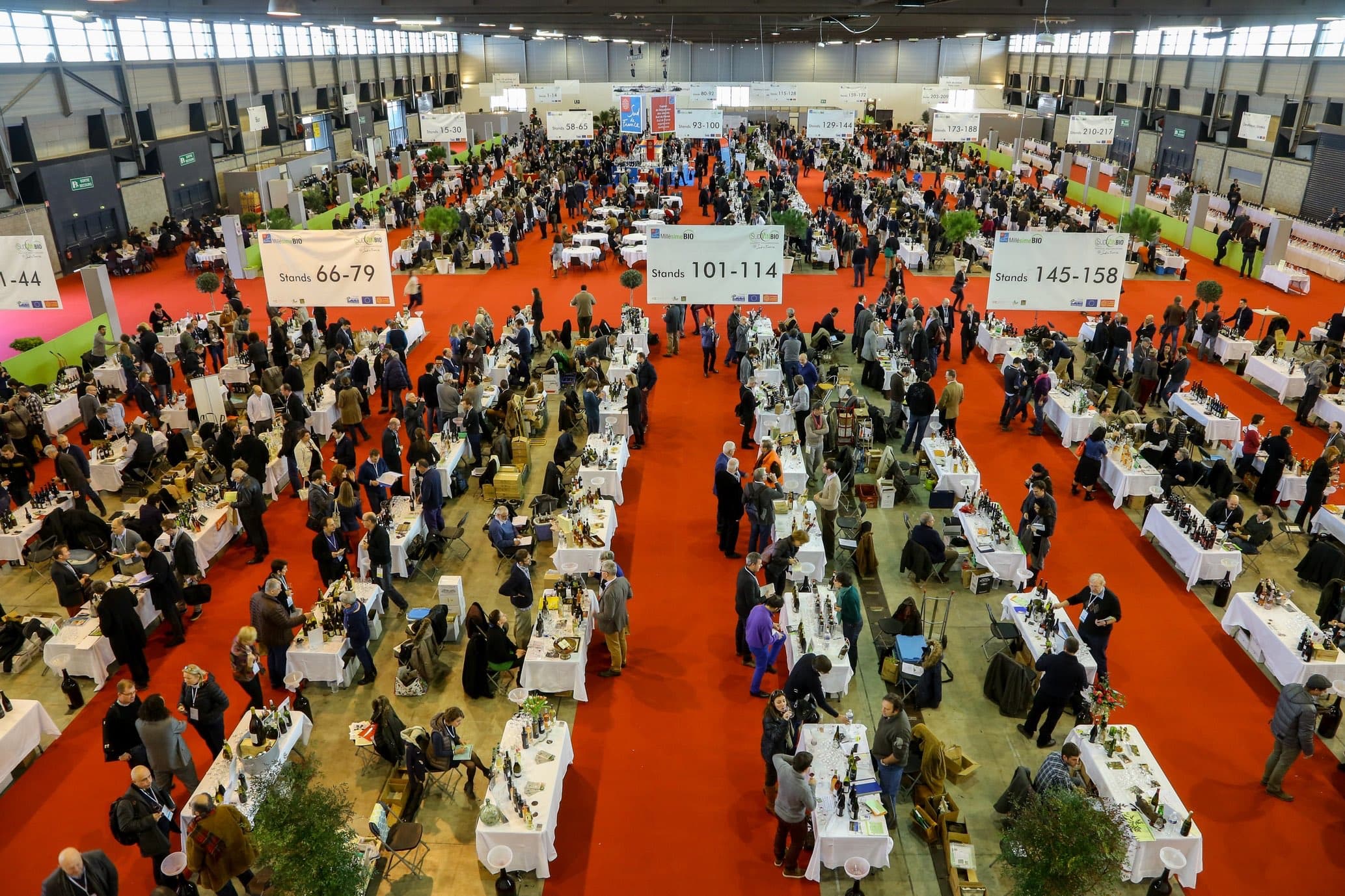Millésime Bio organic wine fair: all about wine and principles