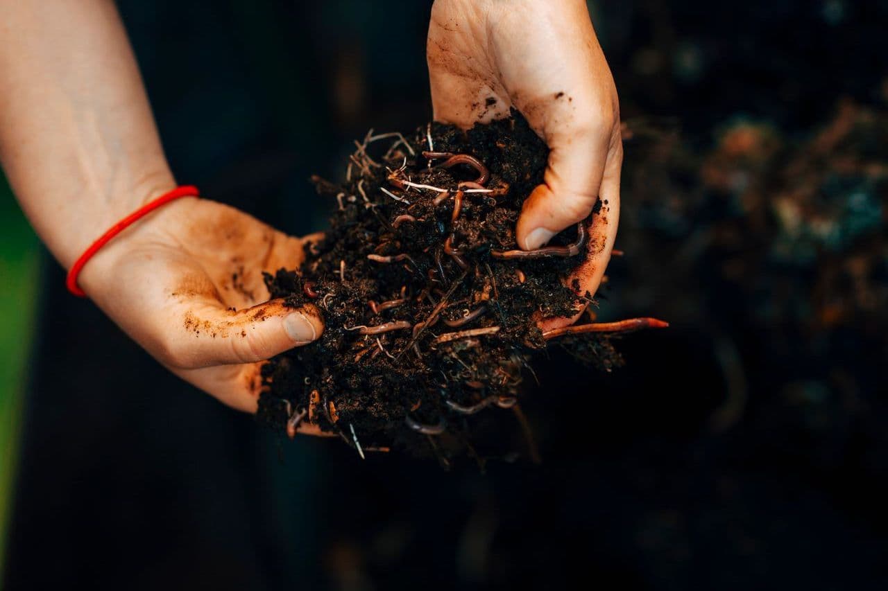 How regenerative viticulture is looking to shake up winemaking
