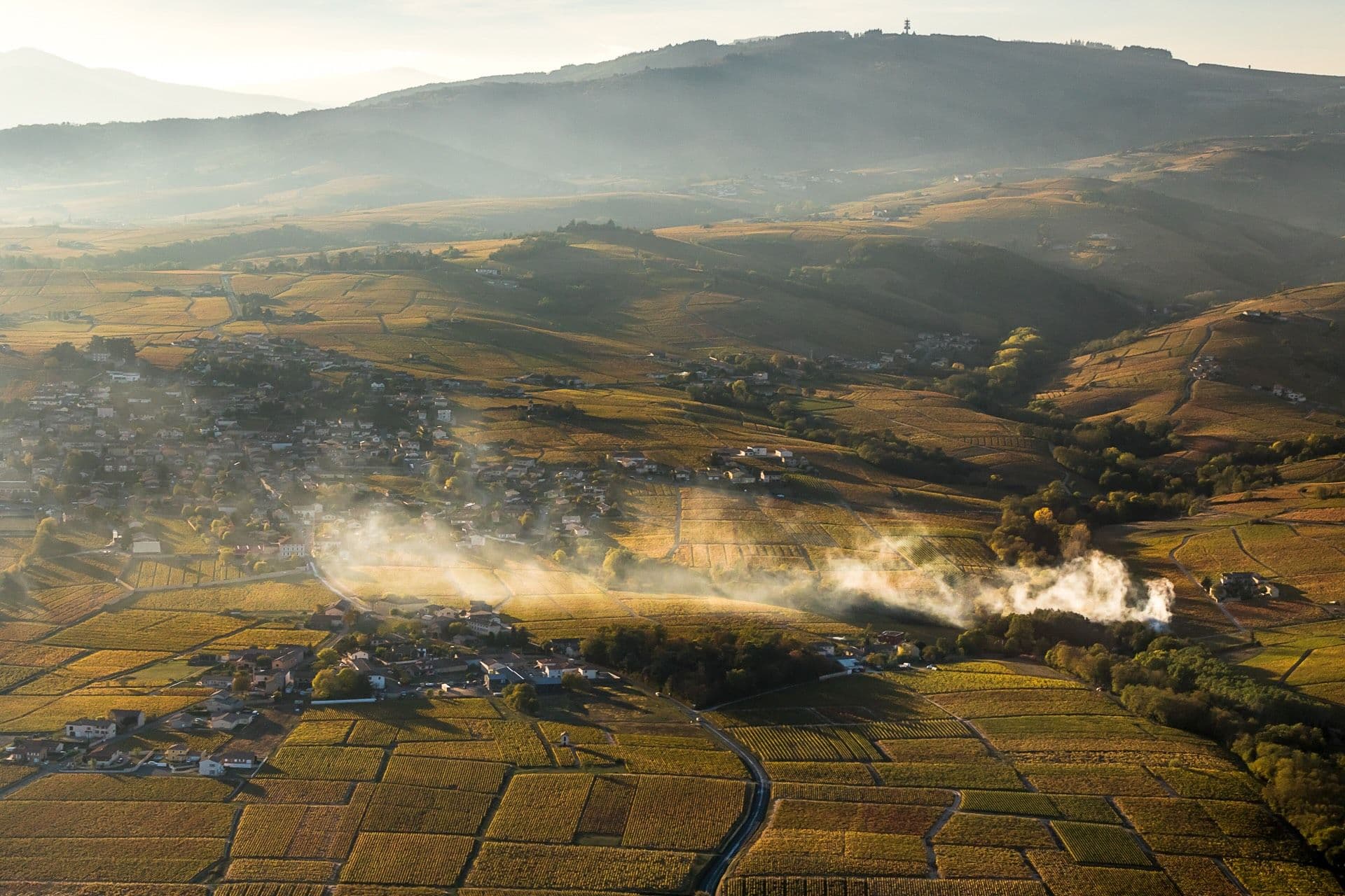 How Beaujolais has fresh white & red wines for premium wine buyers