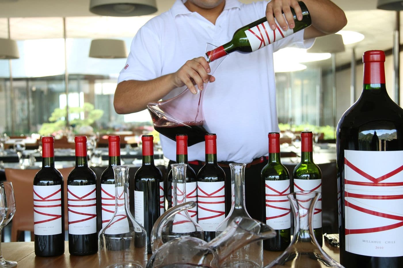 Chile’s new icon wines: producers pushing up the quality bar