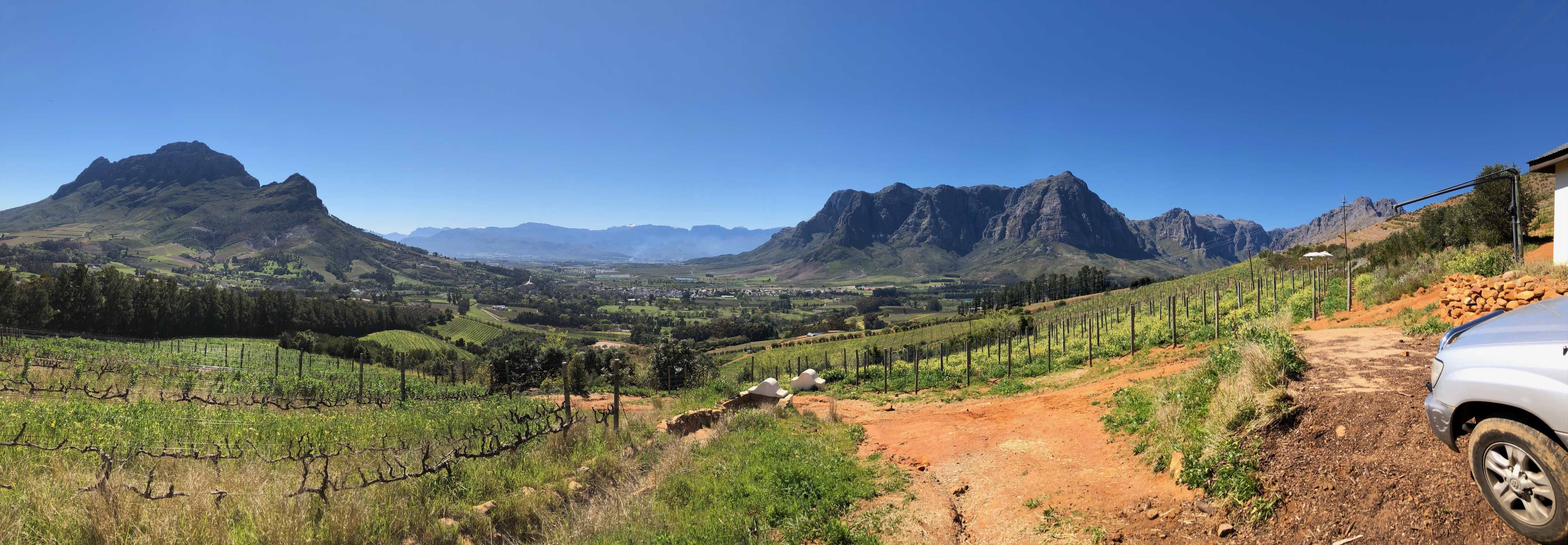 Buyer Rewind: Roger Jones’ best Chenins from Cape Wine 2018
