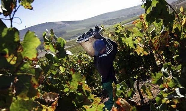South Africa’s new confidence to make wines with their identity