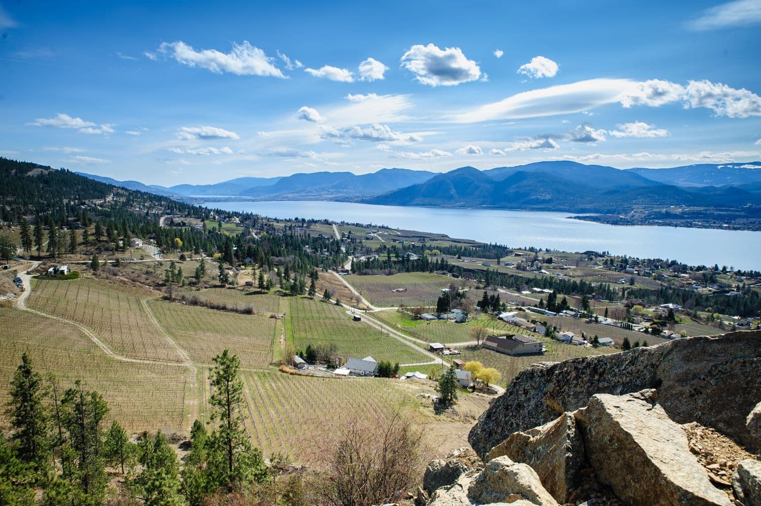 How Canadian wine is more than ready to come out of hiding