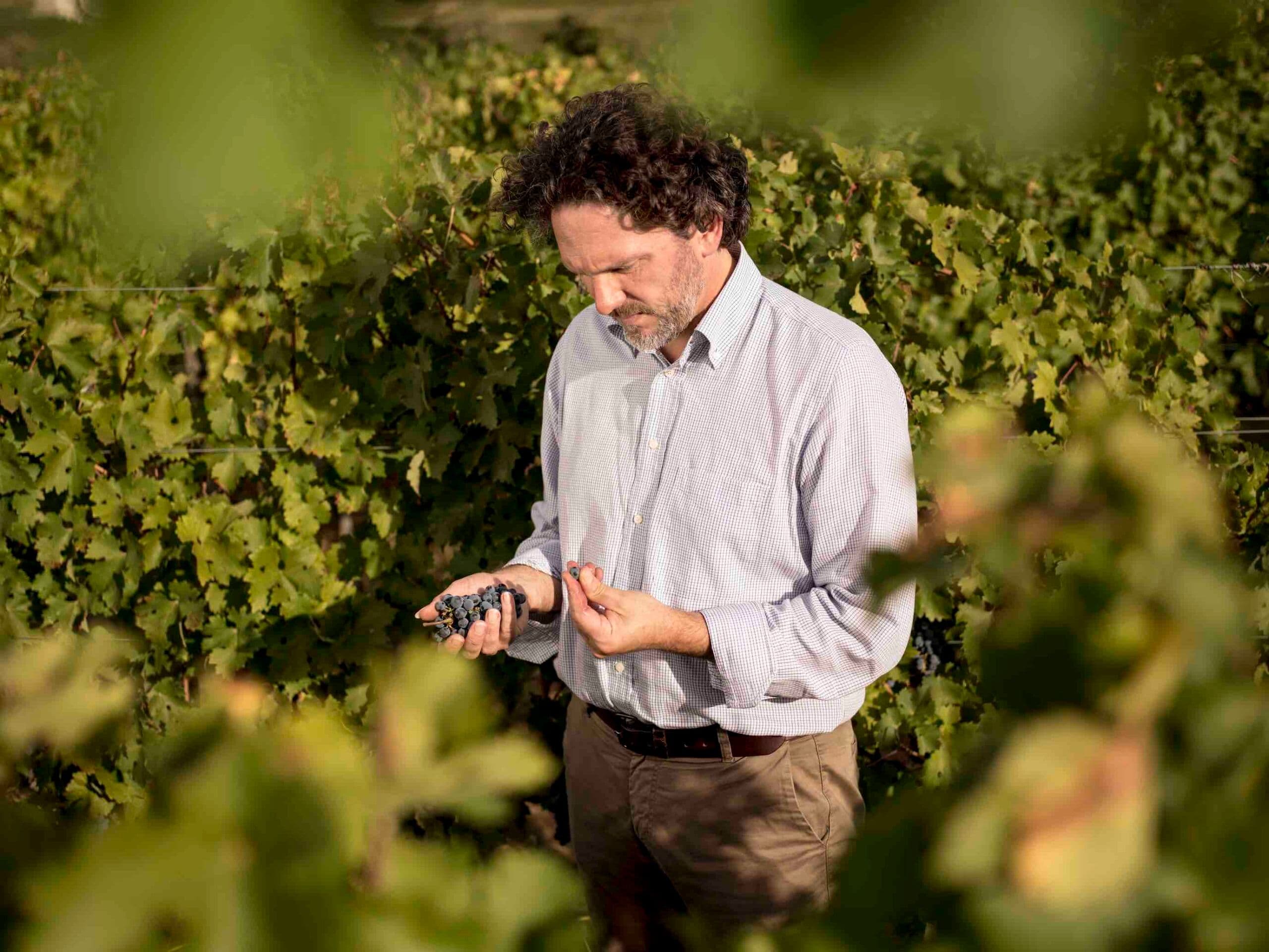 The New Normal with Ornelaia’s estate director Axel Heinz