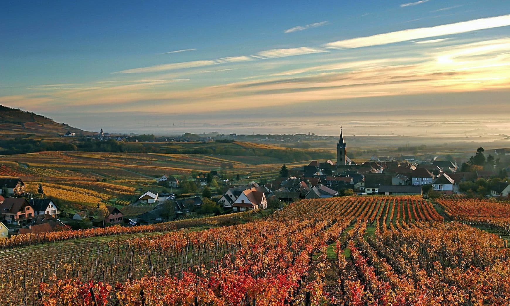 On the road: Roger Jones sums up his Alsace experience