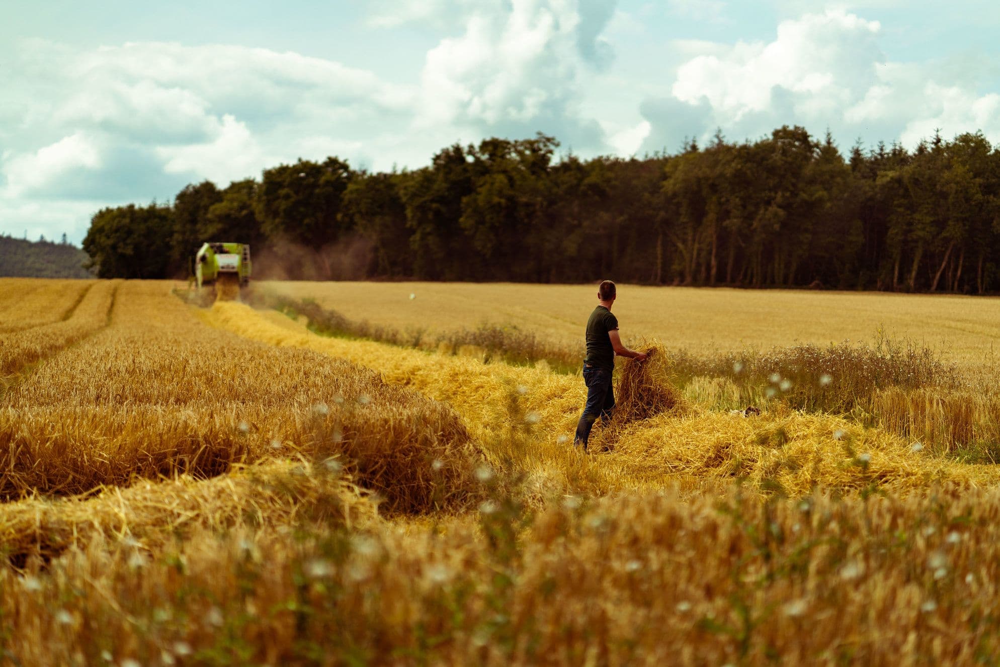 How Waterford’s Irish ‘whisky’ is about the barley and ‘Téireoir’