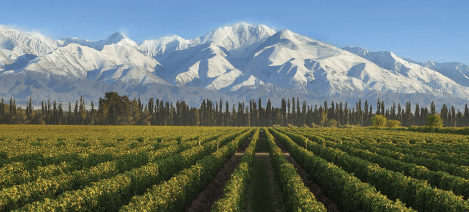 Justin Keay on why ‘the only way is up’ for Argentinian Malbec