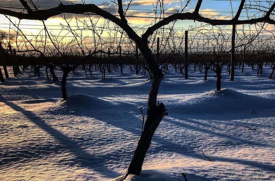 Why New York’s Finger Lakes is not just about the Riesling