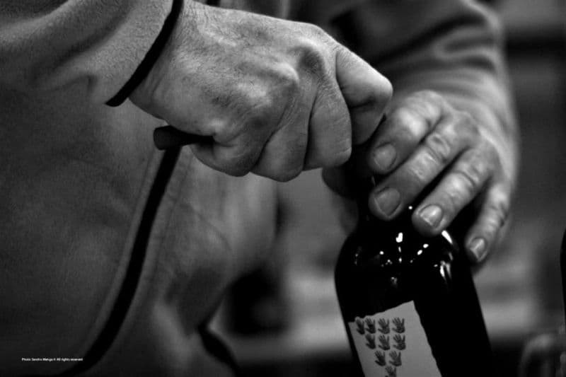 How Abruzzo is trying to prove it has a future beyond pizzeria wine