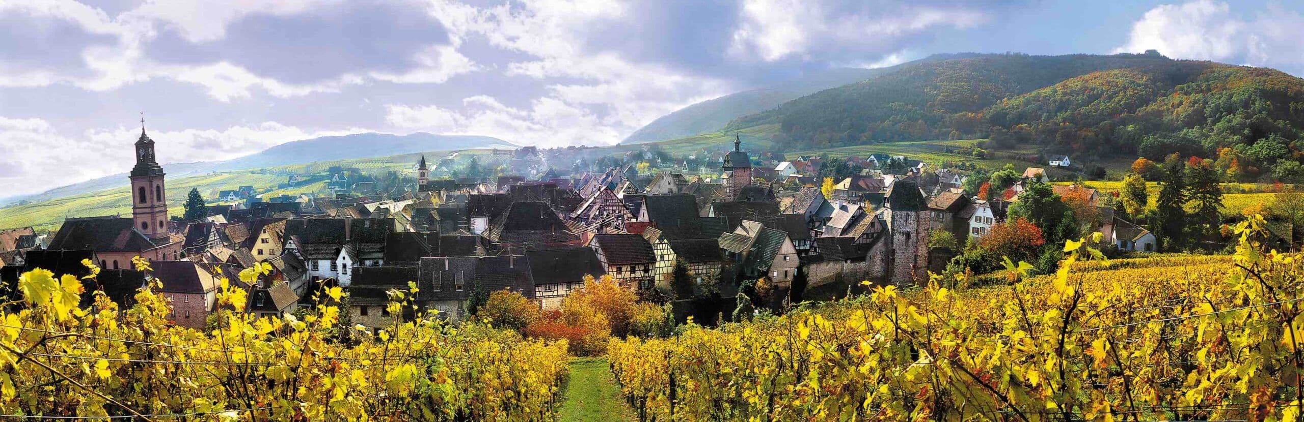 Millésimes Alsace goes online with first DigiTasting®