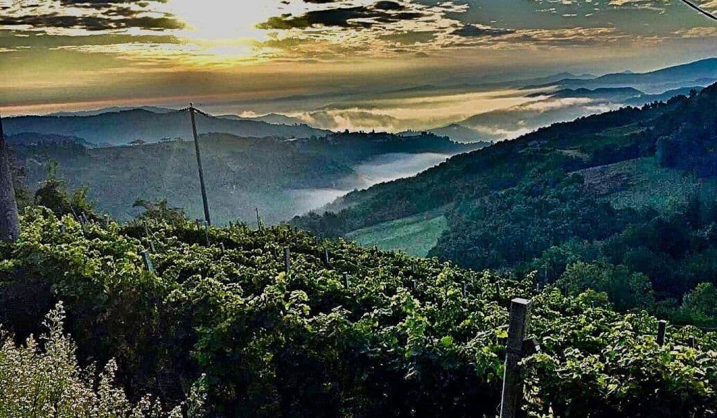 How sparkling wine is coming of age in the foothills of Piemonte
