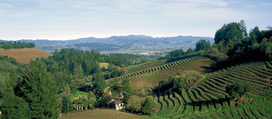 Nuance in Napa: how Spring Mountain has upped its game