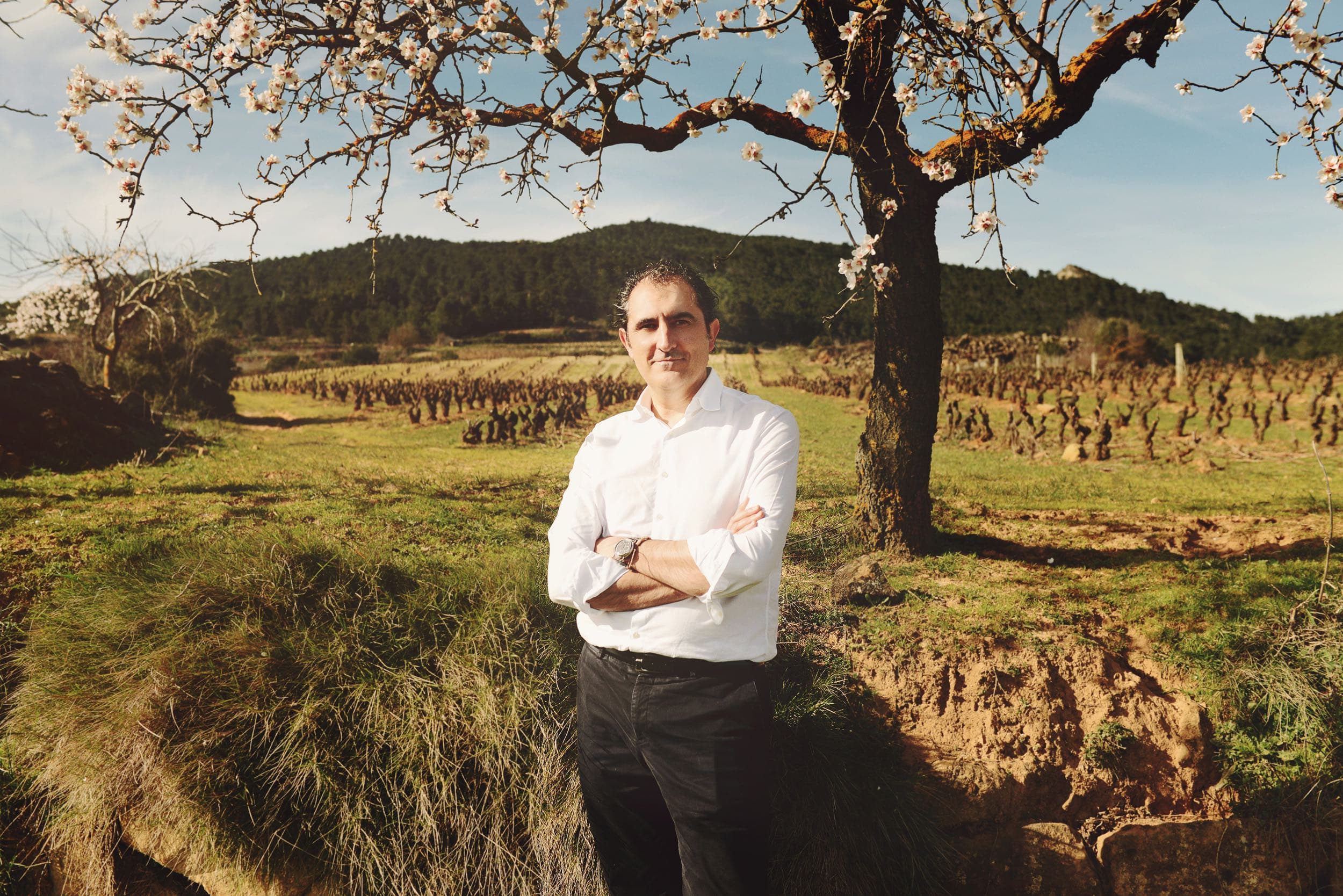 A Ramon Bilbao tasting: mixing tradition with innovation