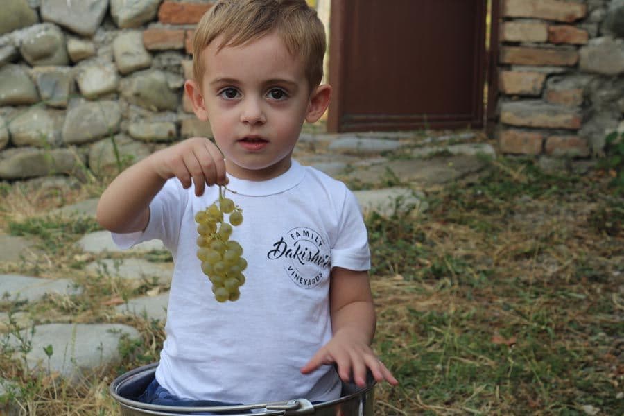 Justin Keay travels back to see how Georgian wine is changing