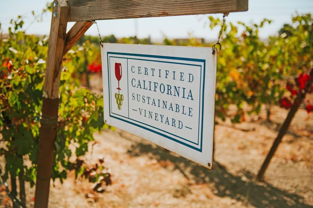 Allison Jordan: how California leads the world on sustainability