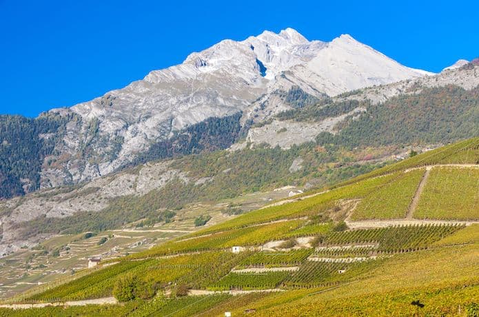 Switzerland's chance to shine with the first Swiss Wine Week