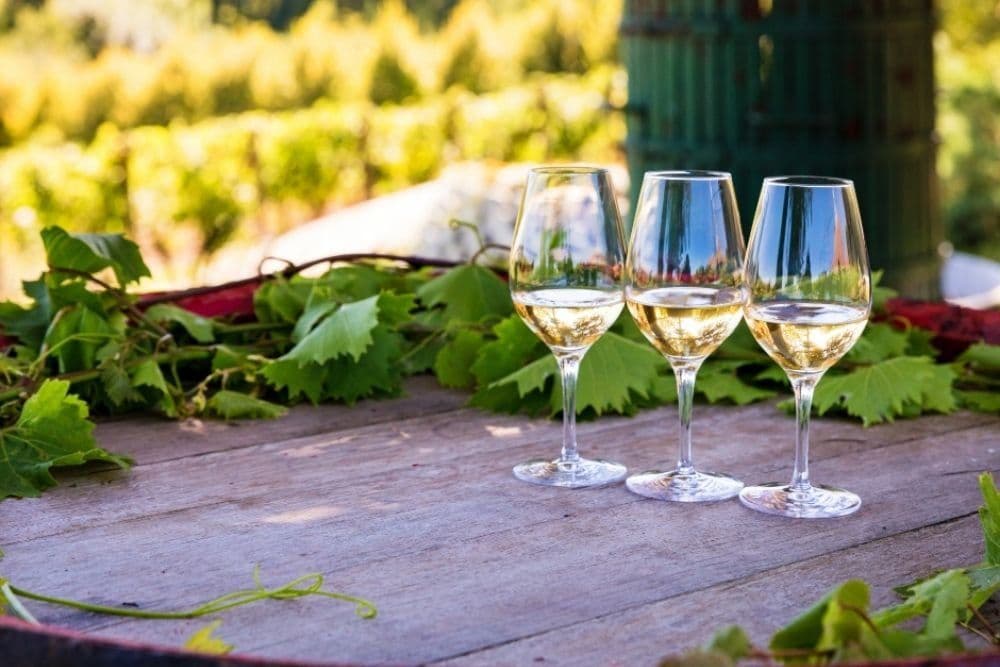 10 white ‘pearls’ from a deep dive into the Armit Italian portfolio