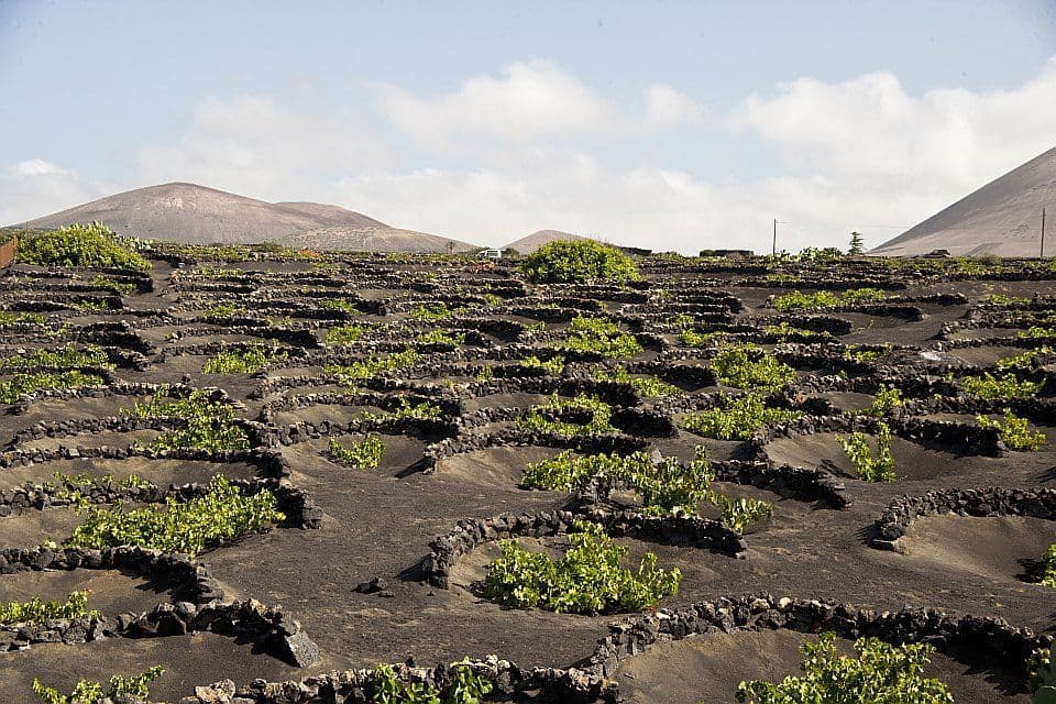 ‘New’ Spanish wines from across the holiday islands