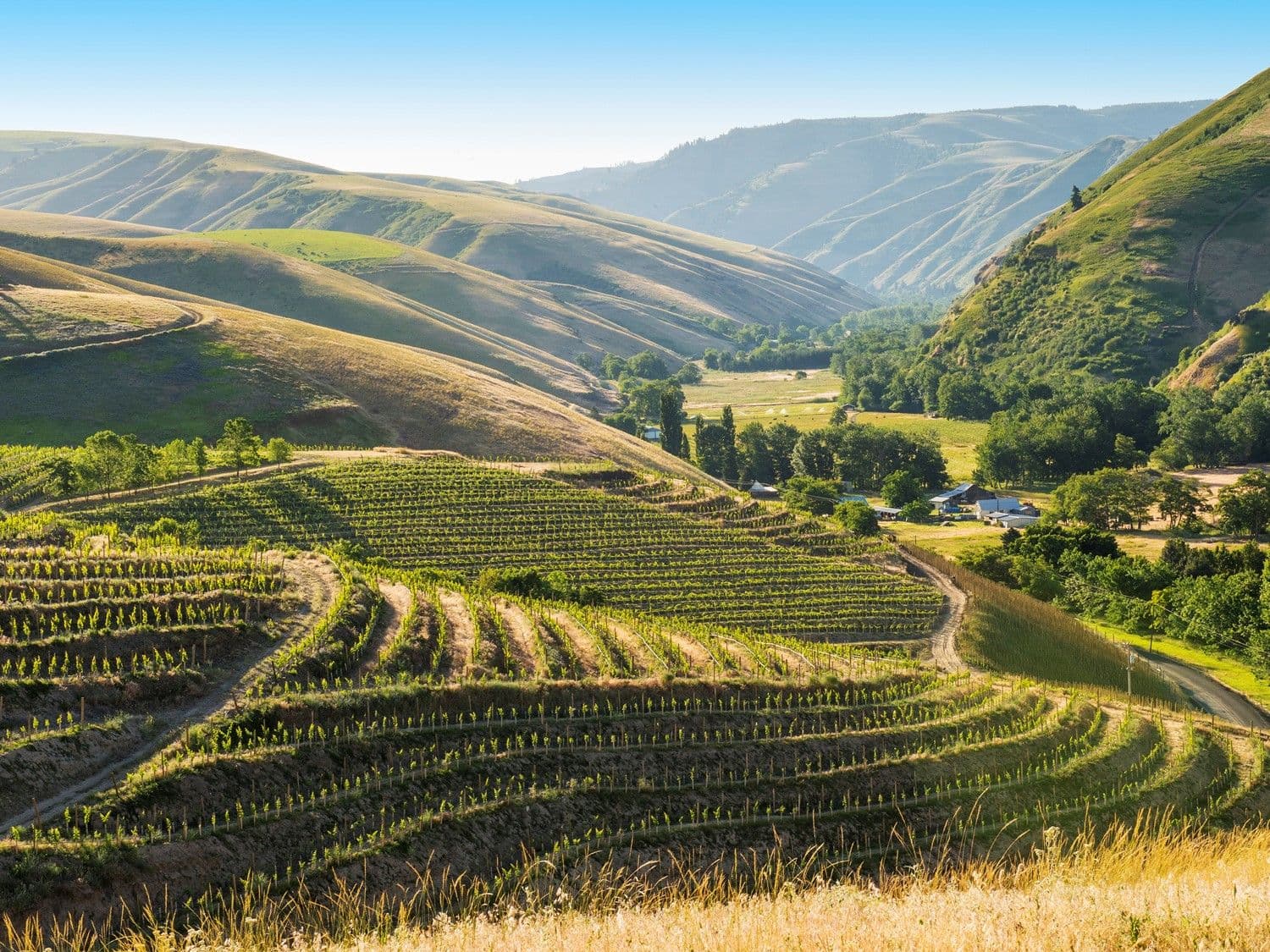 Podcasts have helped tell the story of Washington State wines