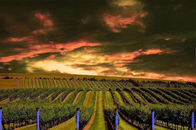 Roger Jones renews his love affair: Day One of Pinot Noir NZ 2017