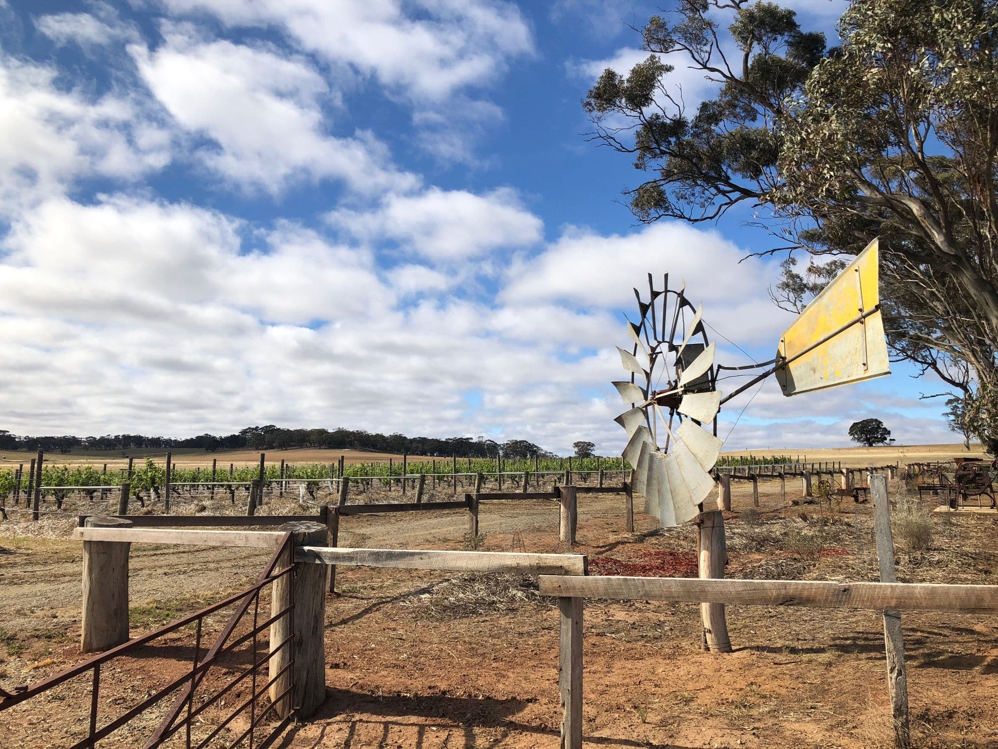 Richard Siddle goes back to the future in the Barossa Valley