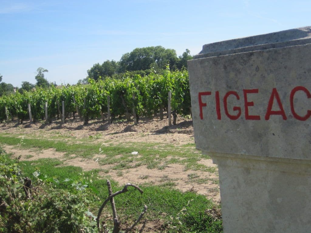 Joss Fowler on Bordeaux 2015: what are the real must-haves?