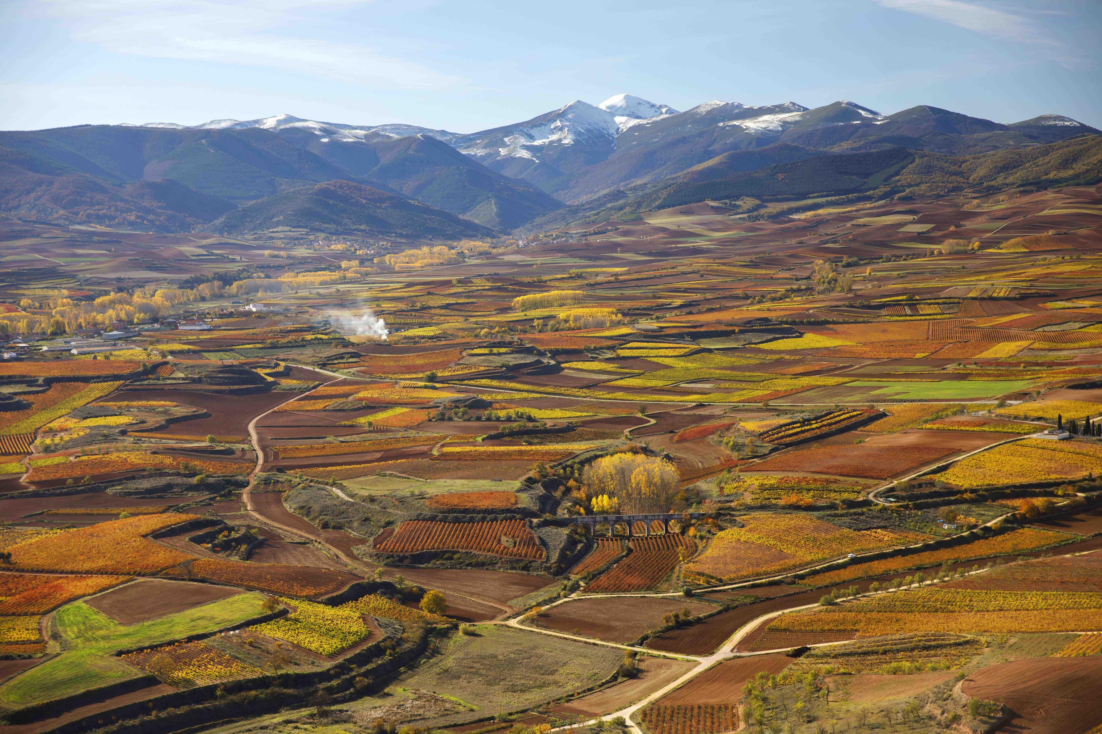 Rioja Refresher: Wines from Rioja & Pedro Ballesteros Torres MW