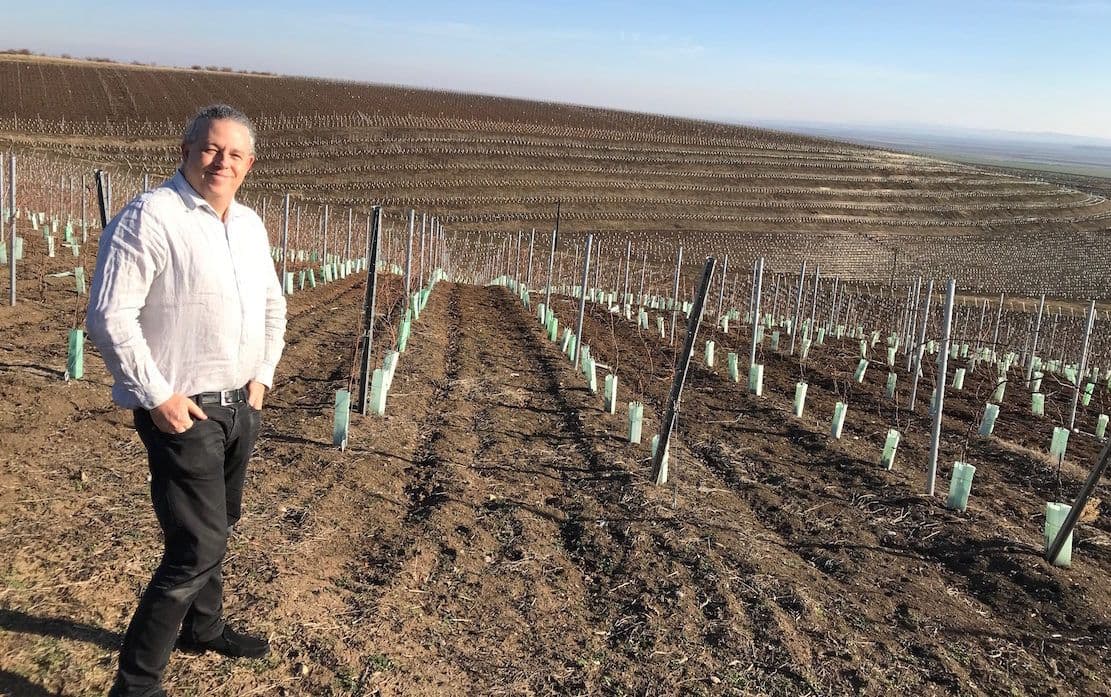 Why the wines of Romania’s Cramele Recas work so well