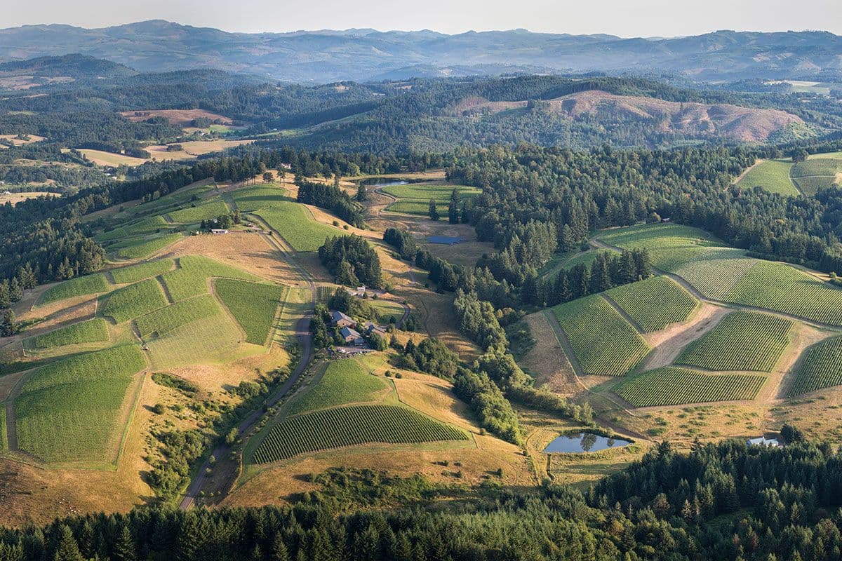 Jackson Family Wines building a legacy at WillaKenzie Estate