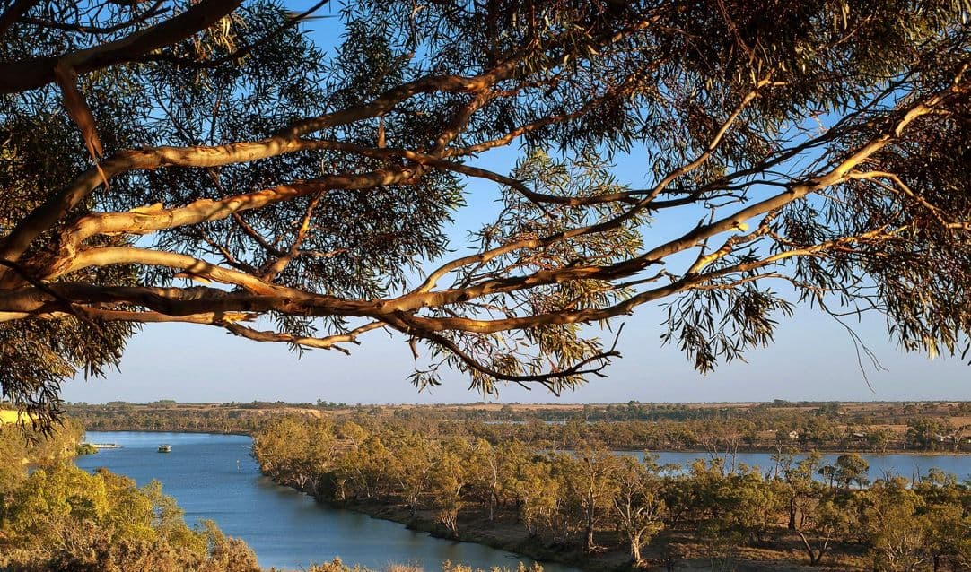 Riverland Uprising’s claim to be Australia’s ‘most diverse’ region
