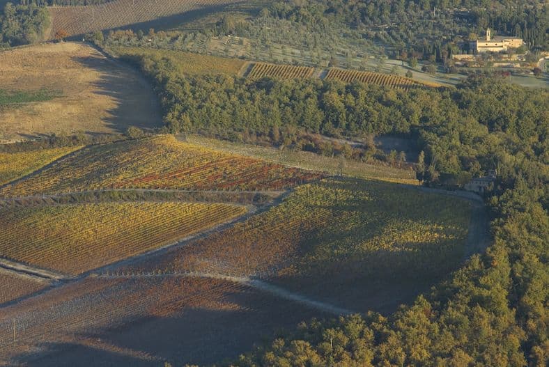 The Buyer on the Road: 3 Chianti wineries set to hit UK on-trade