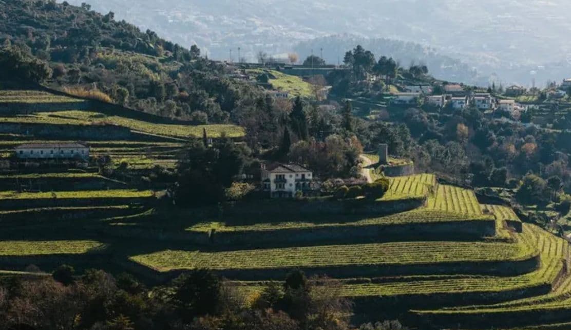 Buyers’ Debate: Top merchants on Vinho Verde’s huge potential