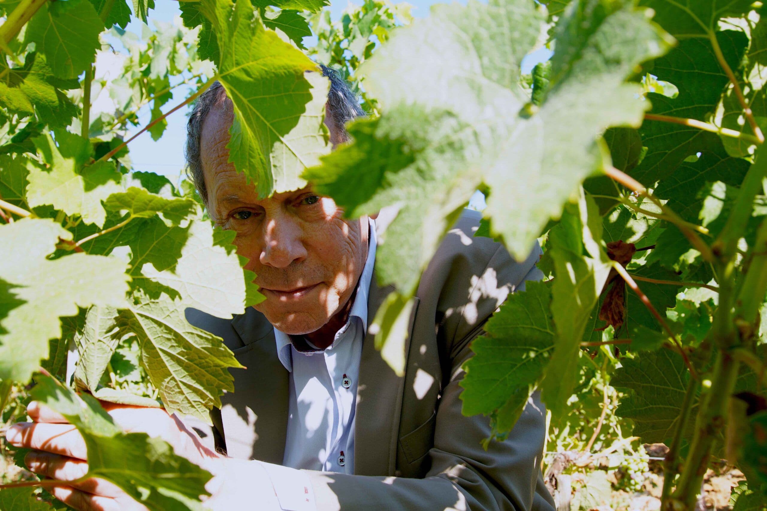 How Thunevin is taking Ch. Valandraud to first growth status