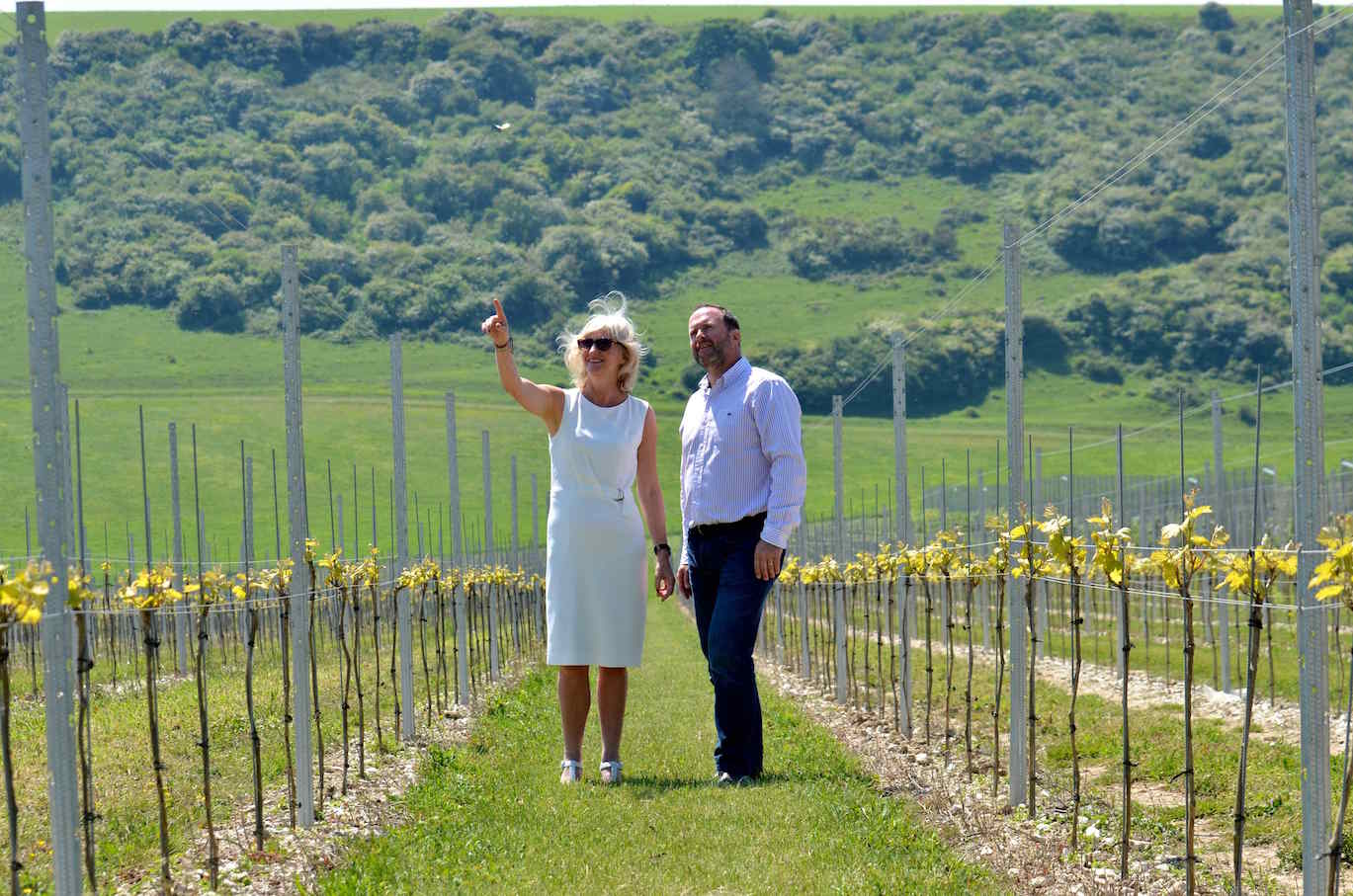 Anne Krebiehl MW on the ‘7 Year Itch’ at Sussex’s Rathfinny Estate