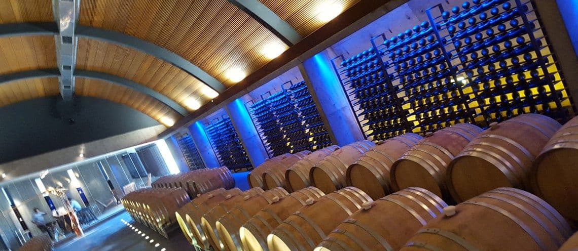 Geoffrey Dean: Top 10 wines that show off the diversity of Chile