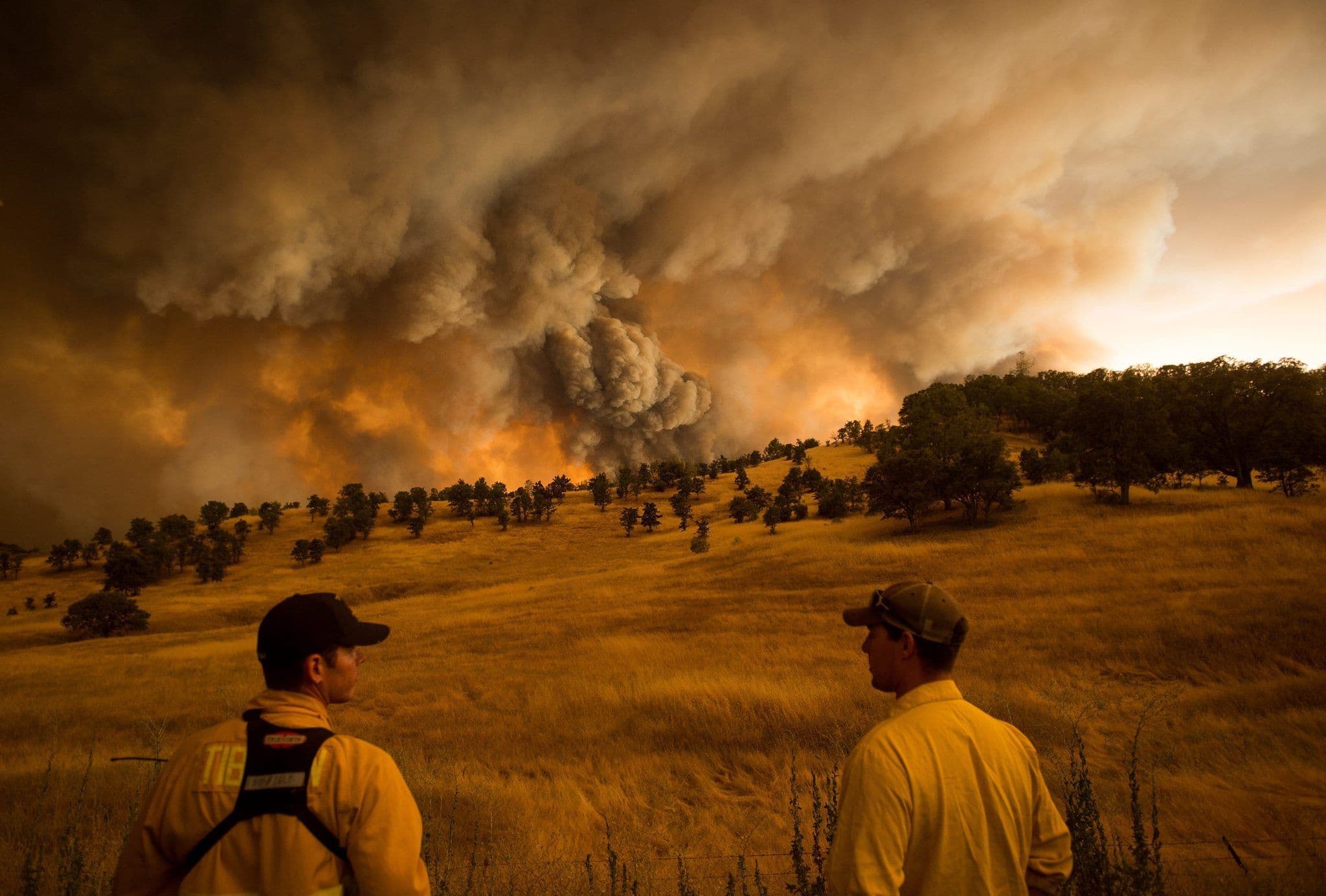 How wine world is helping Napa put autumn fires behind it
