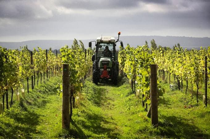 WineGB’s Simon Thorpe MW on what to expect at its 2022 tasting