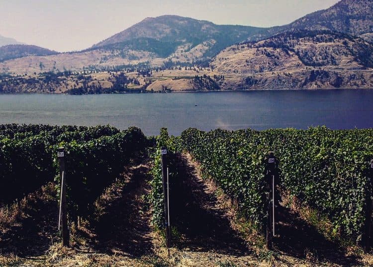 British Columbia: Canada’s unique, diverse and extreme wine region