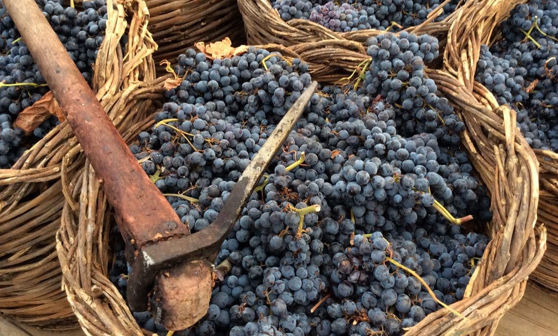 Cerasuolo di Vittoria: Justin Keay opens the door on Sicily’s DOCG