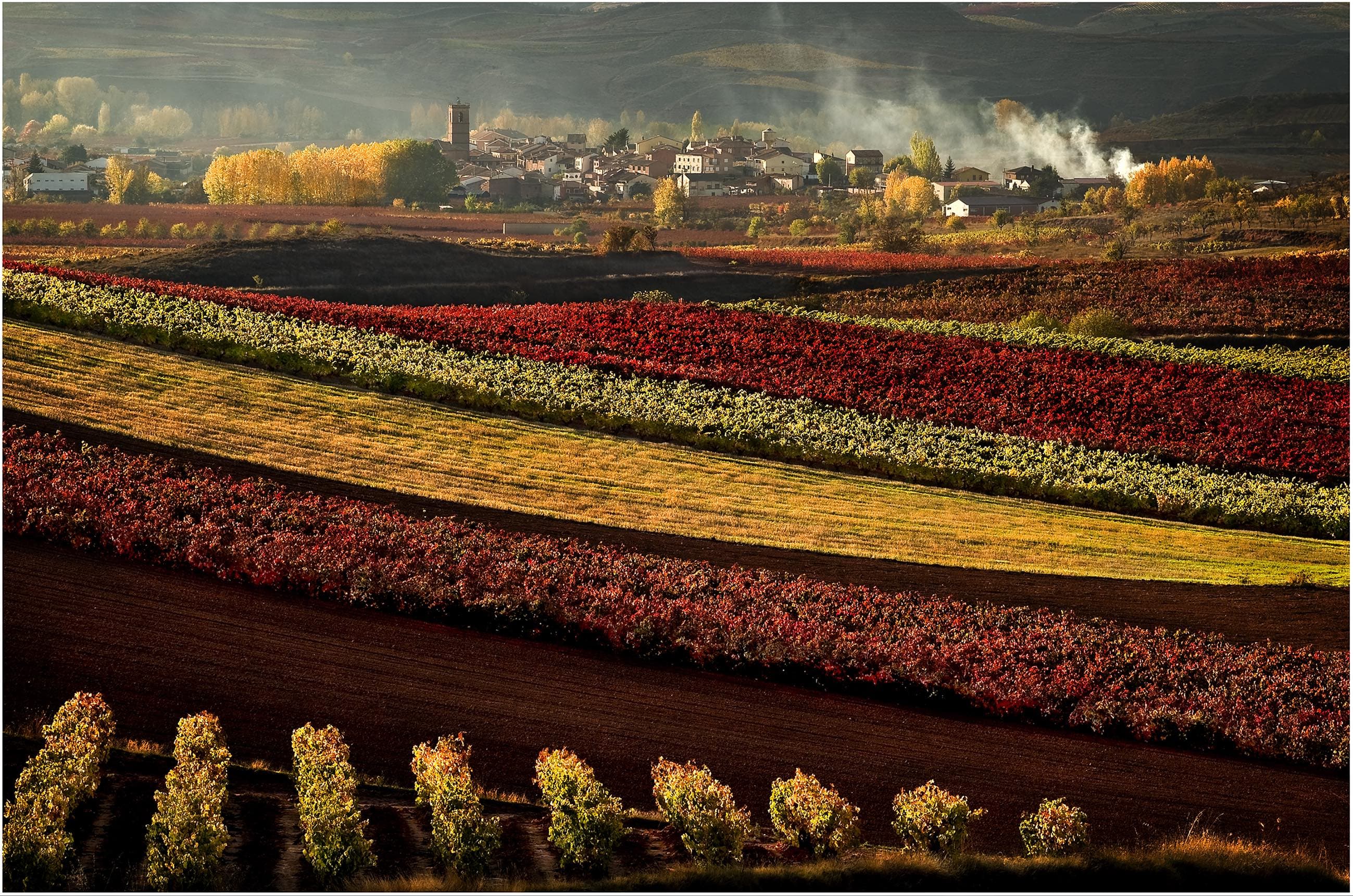 Why wines from Rioja offer so much variety for any wine list