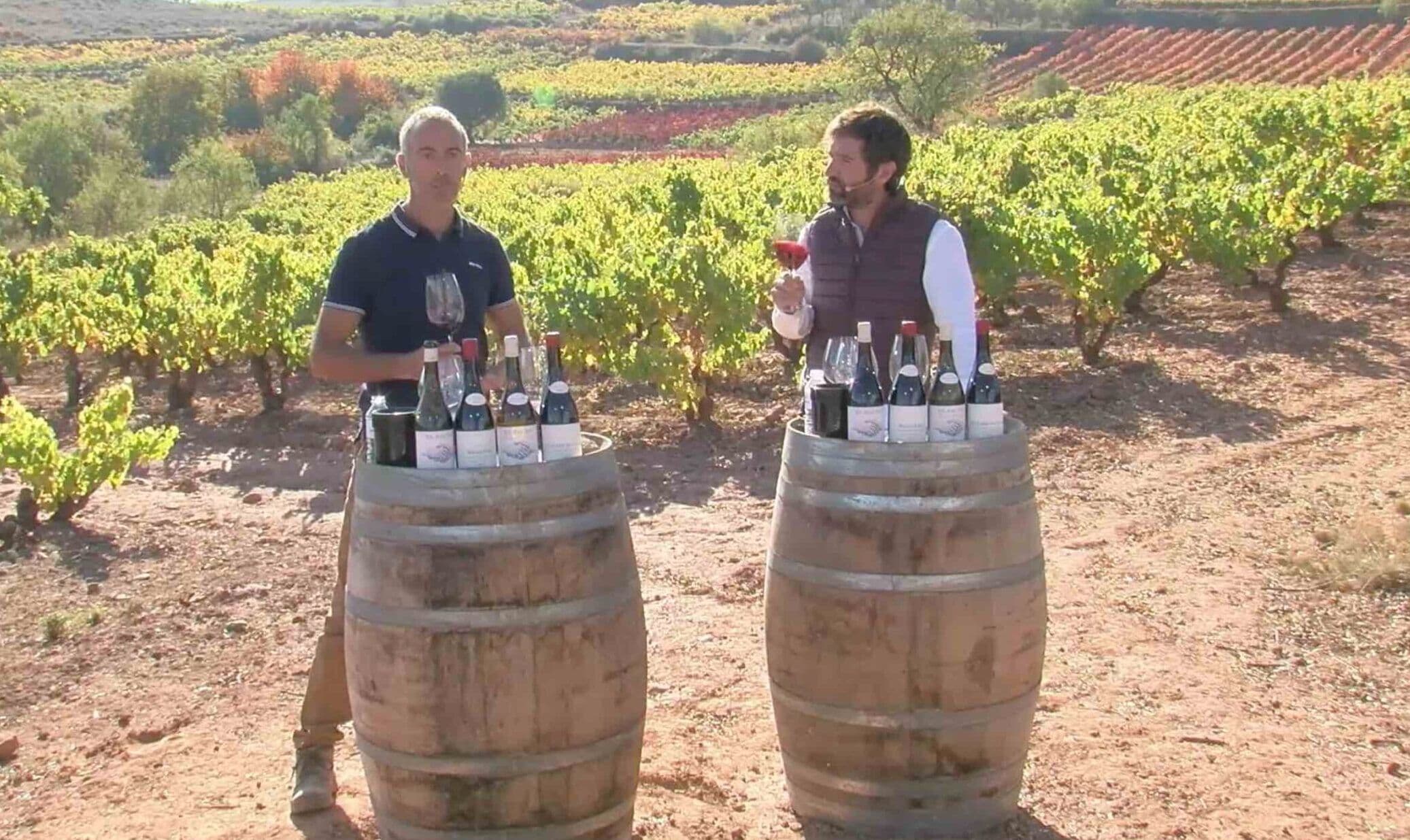 How Viñedos El Pacto returns us to the authentic Rioja of the past