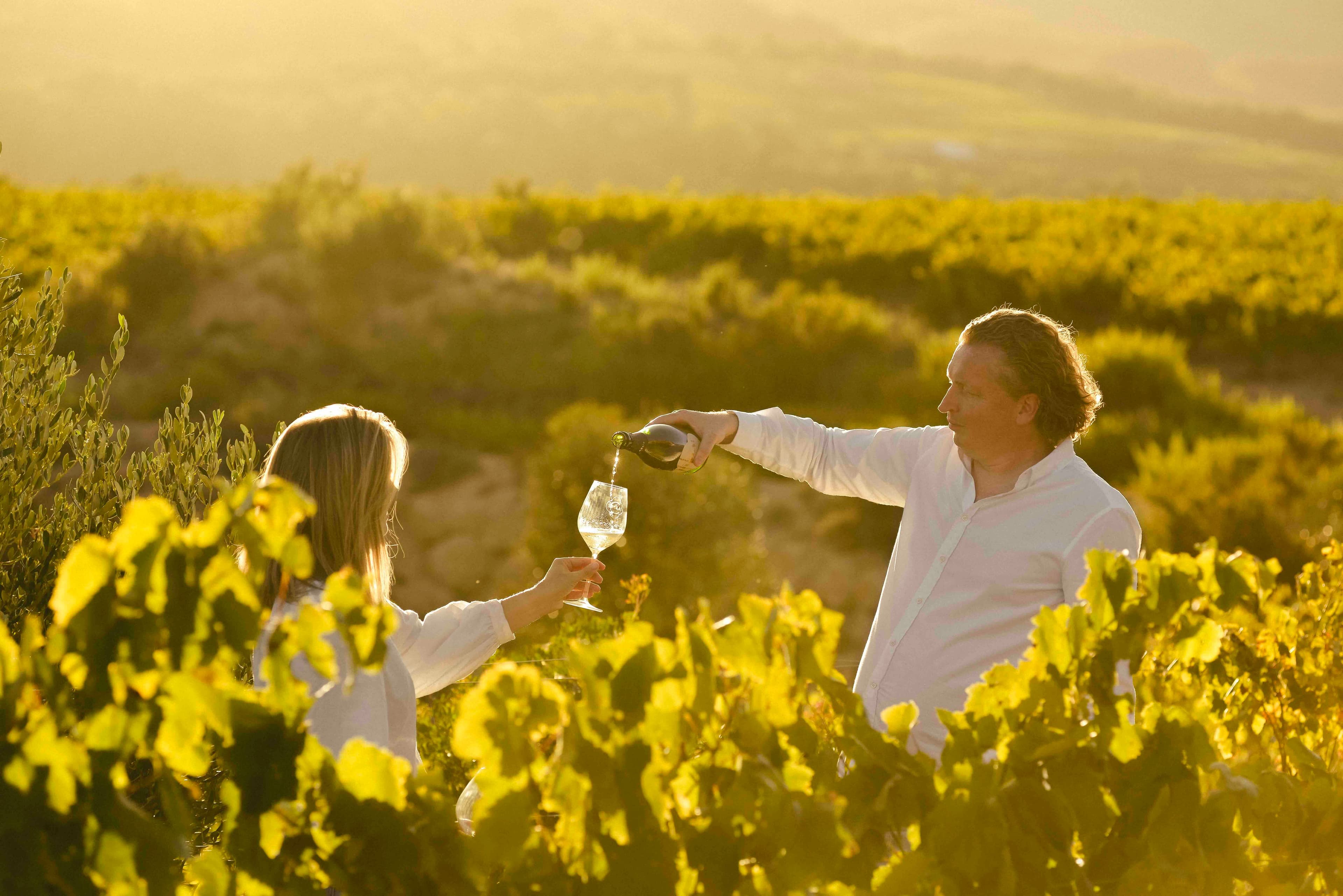 How Barcelona Brands has disrupted and premiumised Cava