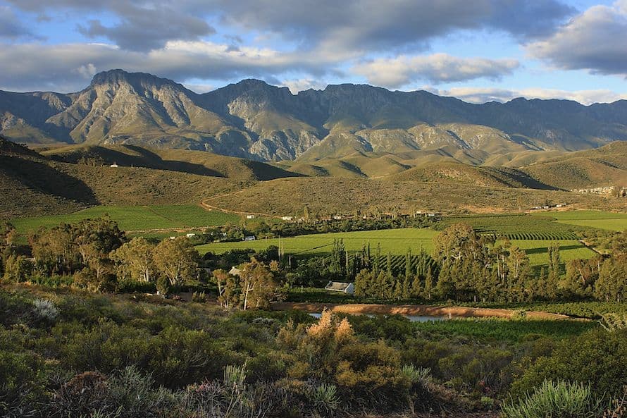 Why Robertson is gaining influence in the Western Cape