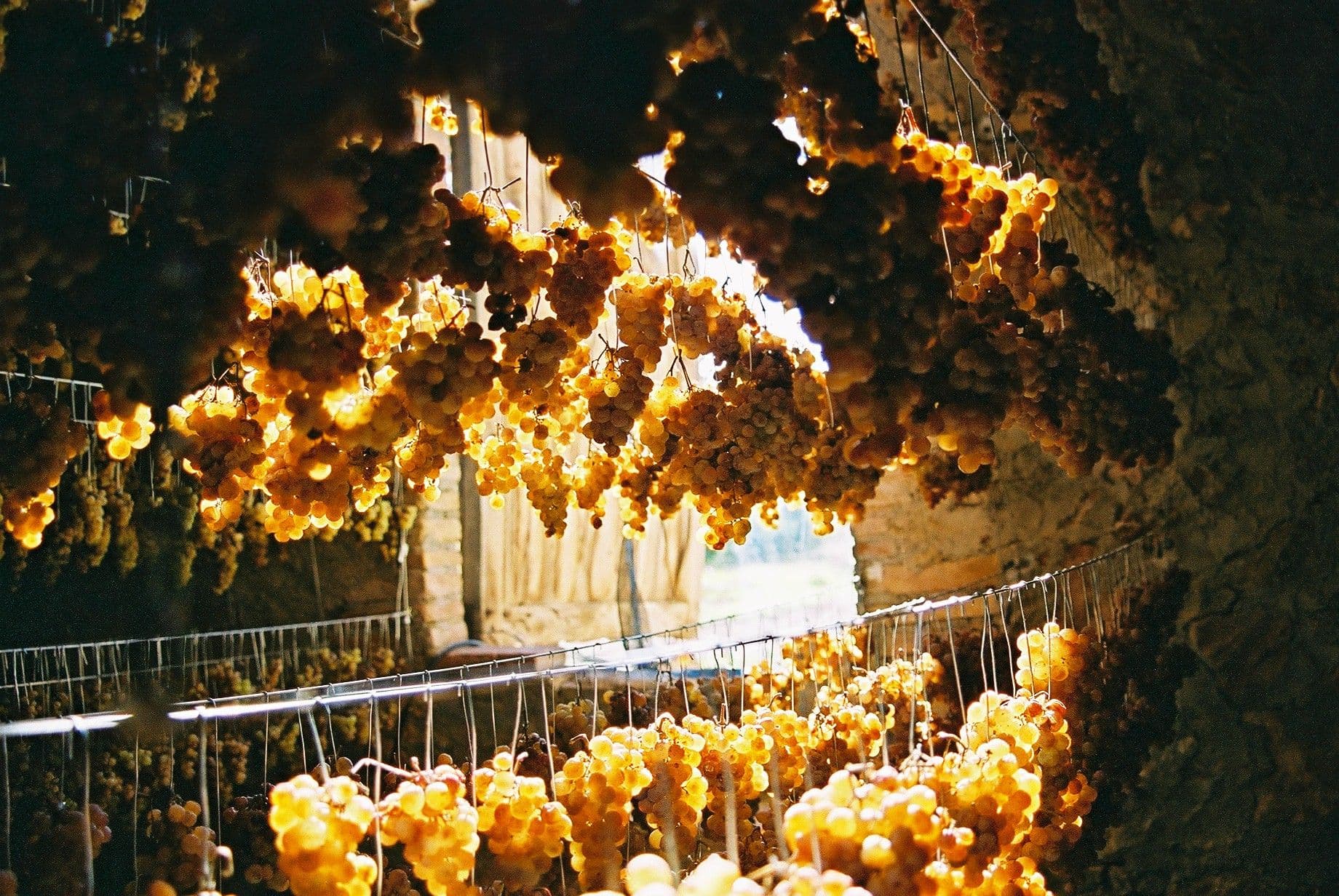 MontRubí tapping into Catalan culture with unique Sumoll wines