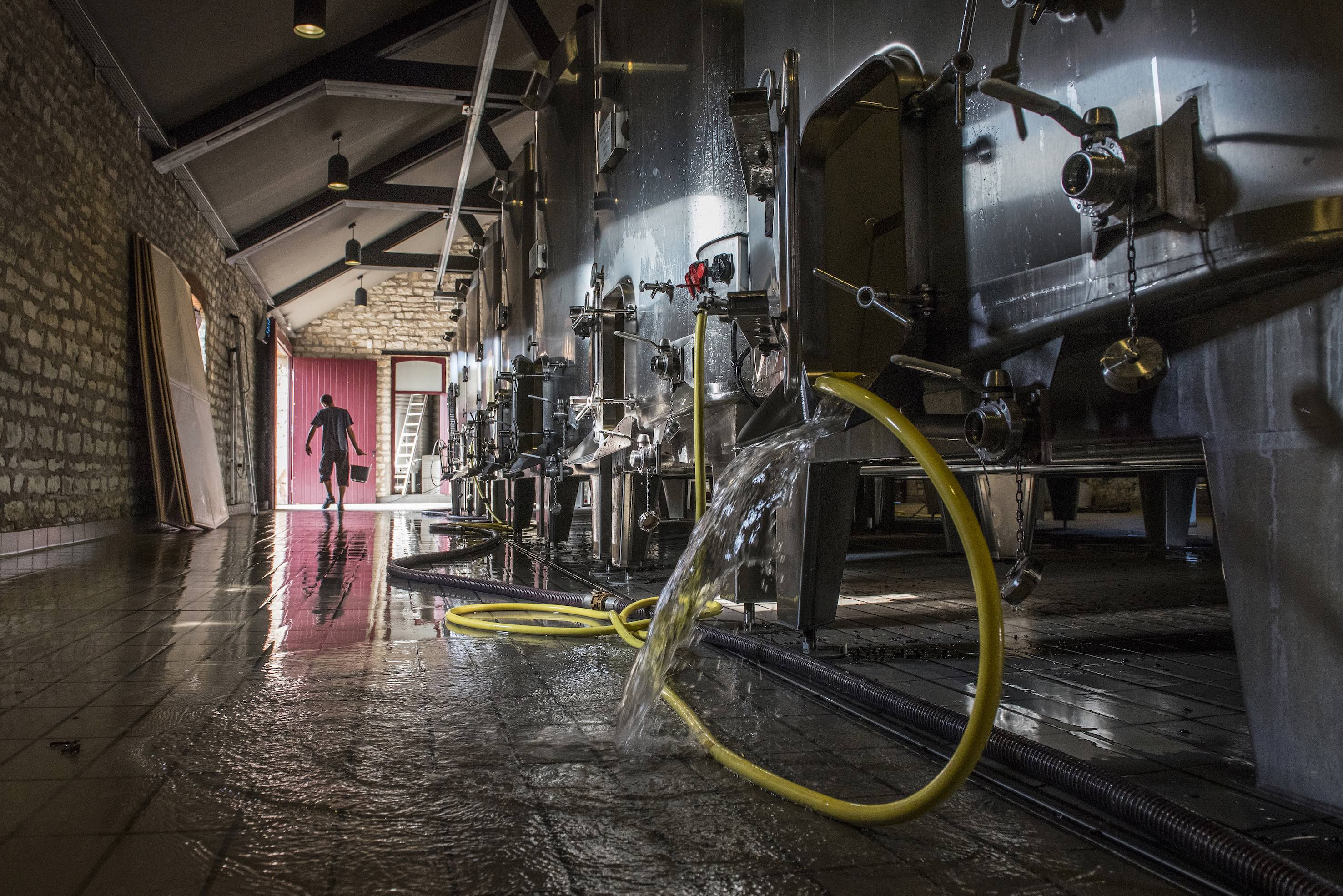 Jon Wyand: Errazuriz’s Wine Photographer & photograph 2019