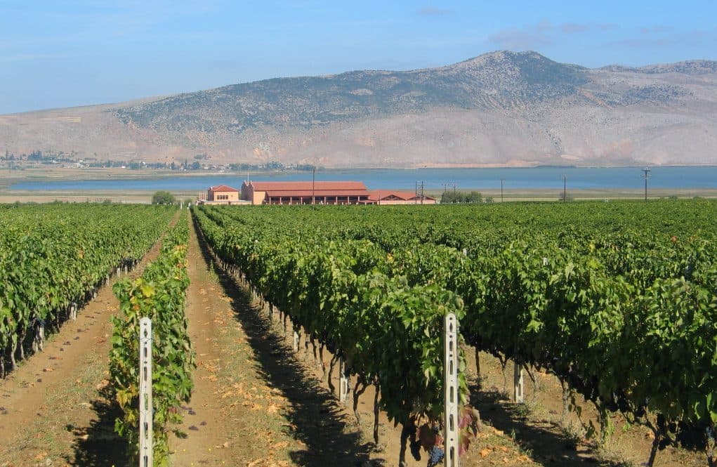 Roger Jones visits Alpha Estate, Greece’s state-of-the-art winery
