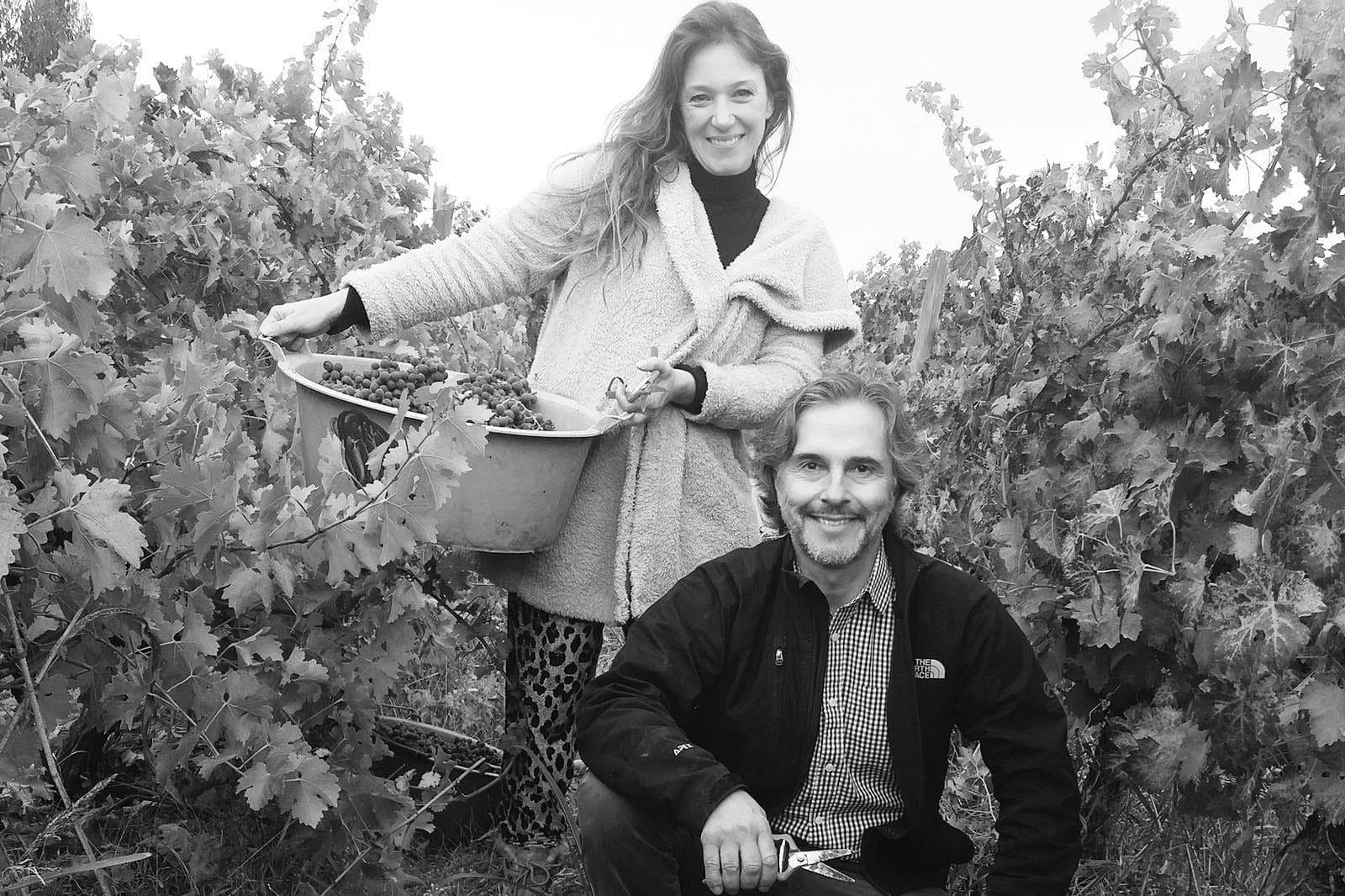 Marco Puyo’s Viña Dagaz ‘world class’ Chilean wines
