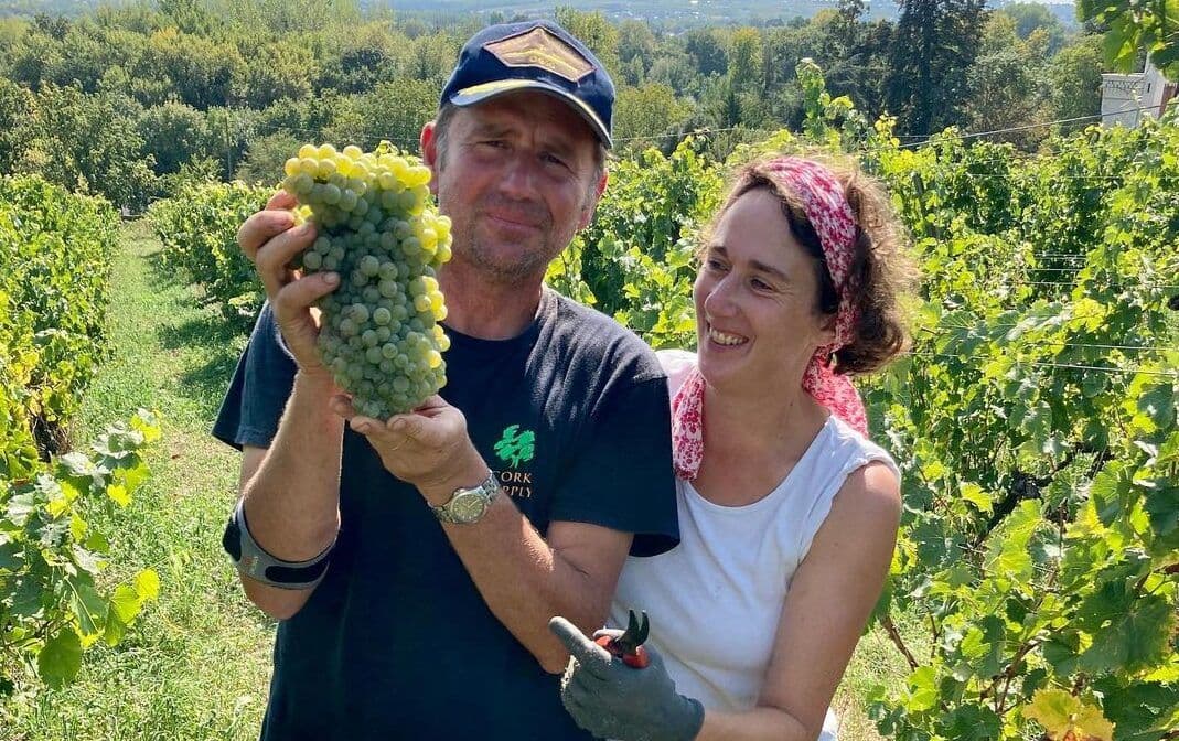 6 of the Best Loire Chenin Blancs picked by region expert Jim Budd