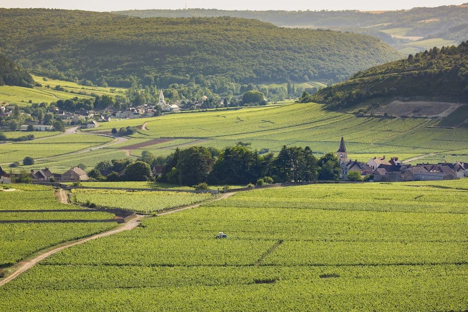 Howard Ripley: How to tap into Bourgogne Régionale+ wines