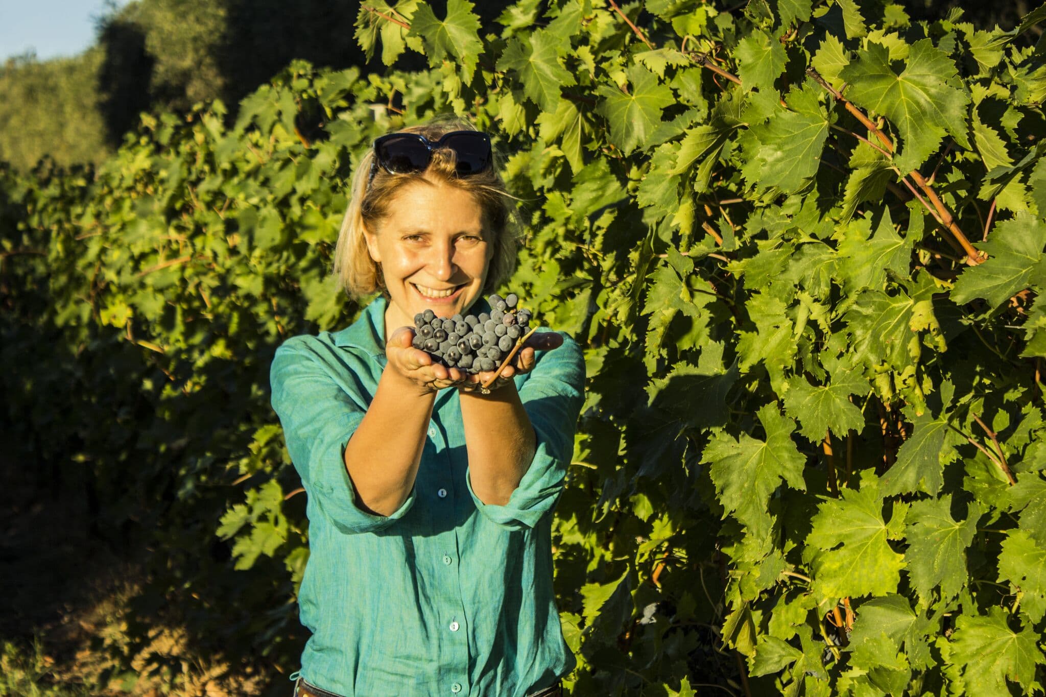 Sangiovese RESET: Lungarotti on making classic Umbrian wines